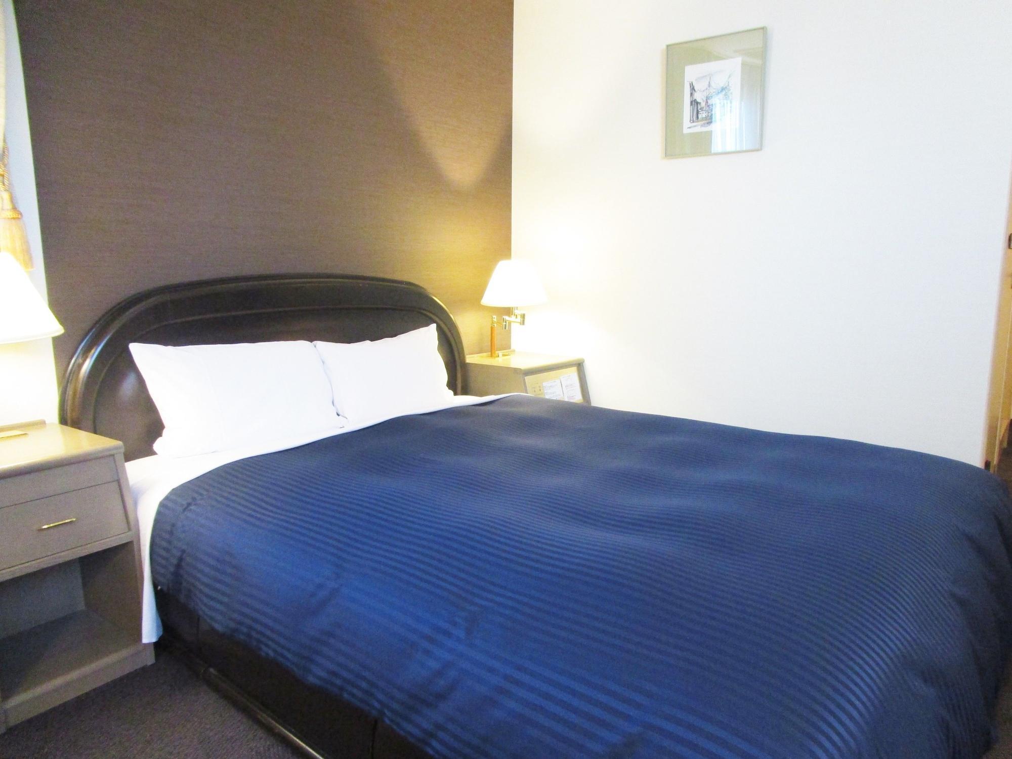 HOTEL LiVEMAX BUDGET SAPPORO Sapporo Exterior foto