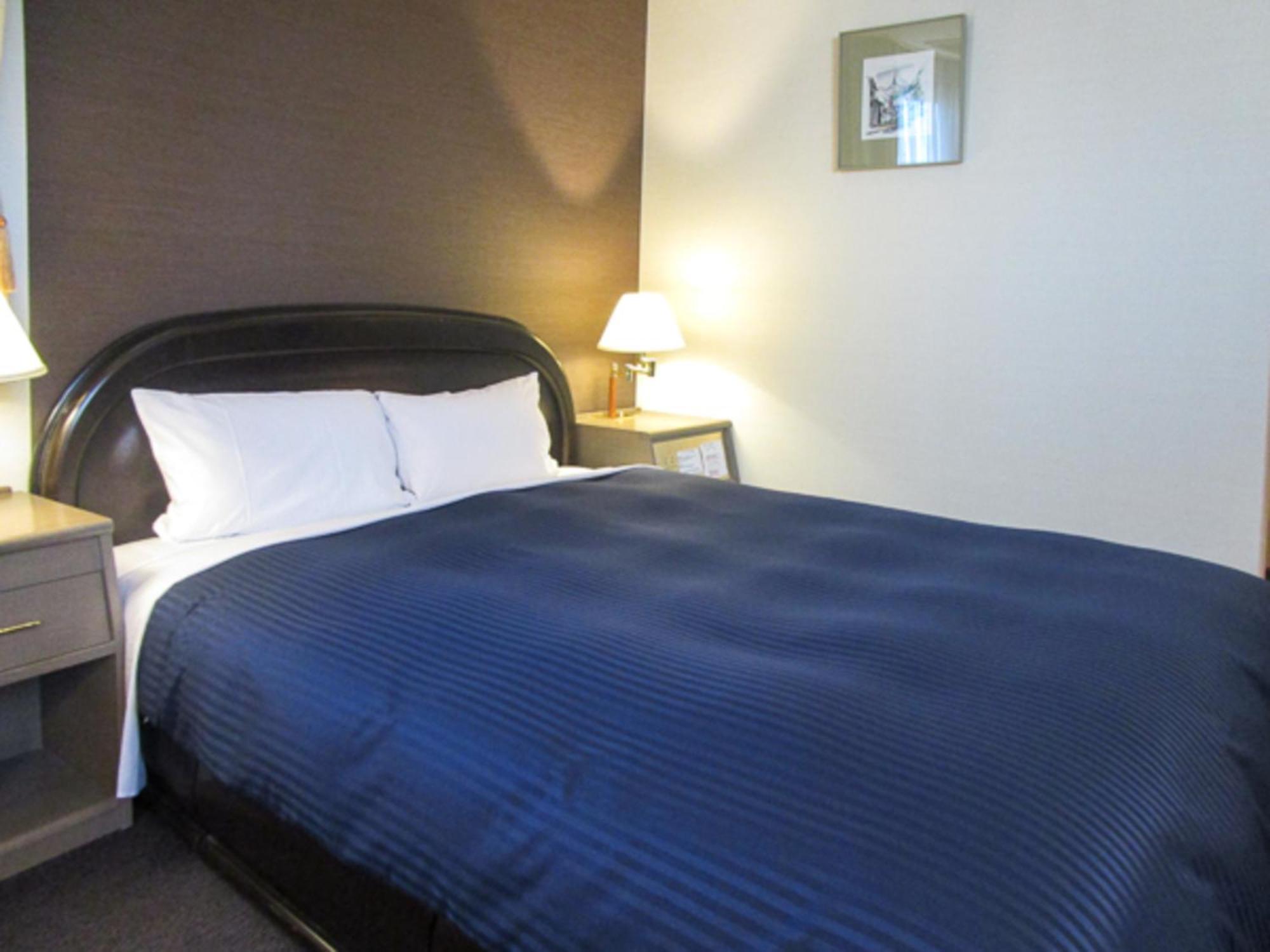 HOTEL LiVEMAX BUDGET SAPPORO Sapporo Exterior foto
